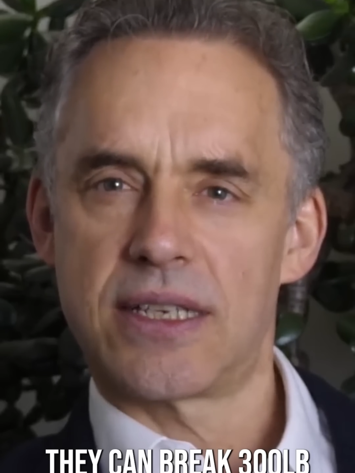 @Dr Jordan B Peterson