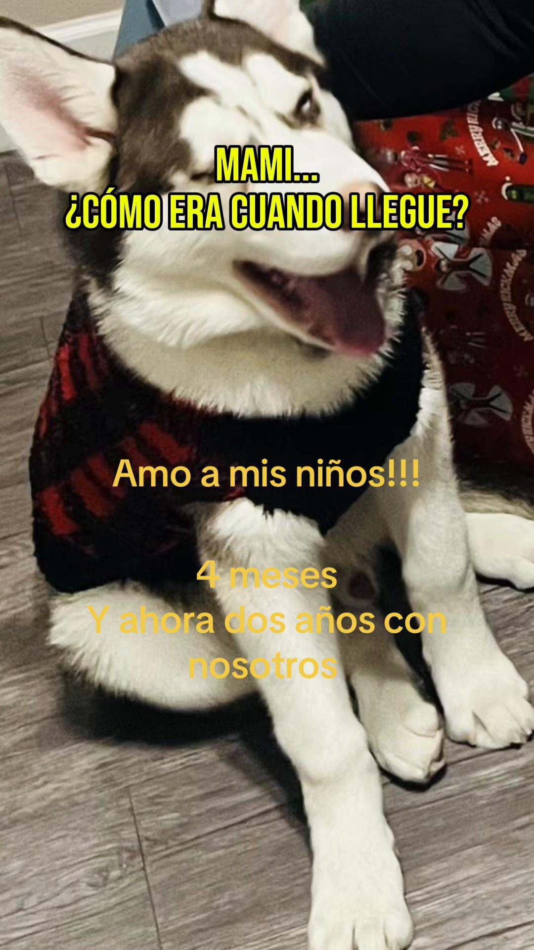 @Leo Reyes