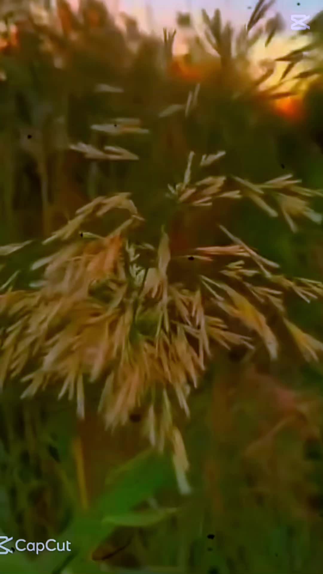 @....𝓐𝓵_𝓩𝓾𝓫𝓪𝓲𝓭𝓲
