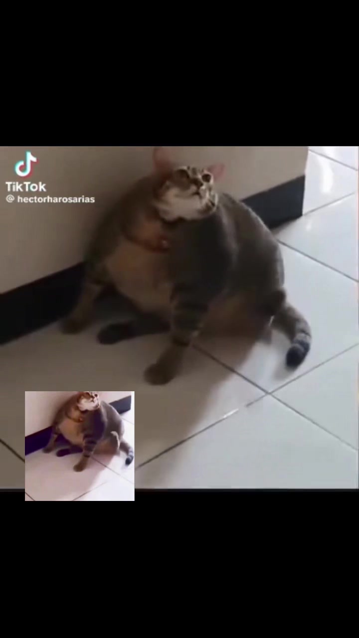@???