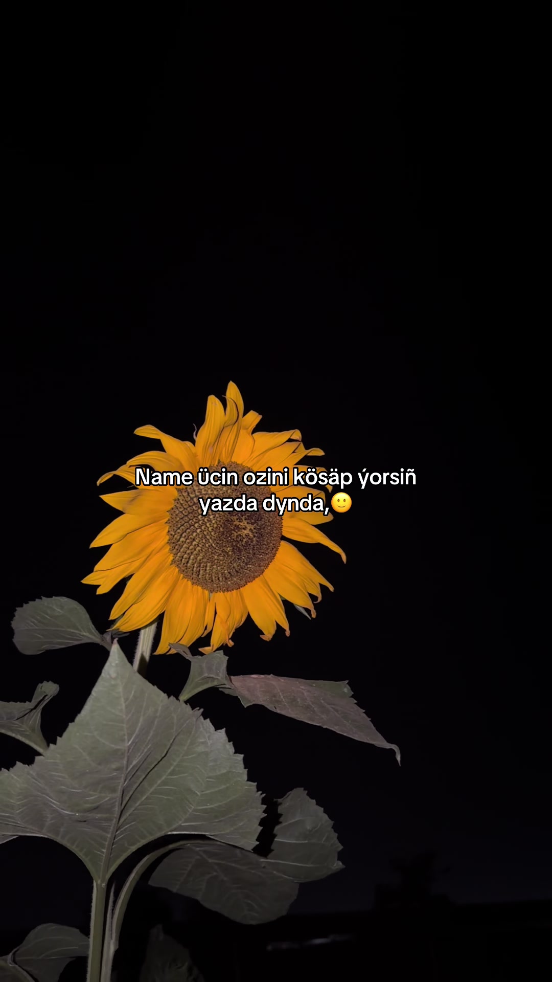 @𝒜𝓁𝓁𝒶𝓃𝓊𝓇.𝓁𝒾𝓋ℯ.