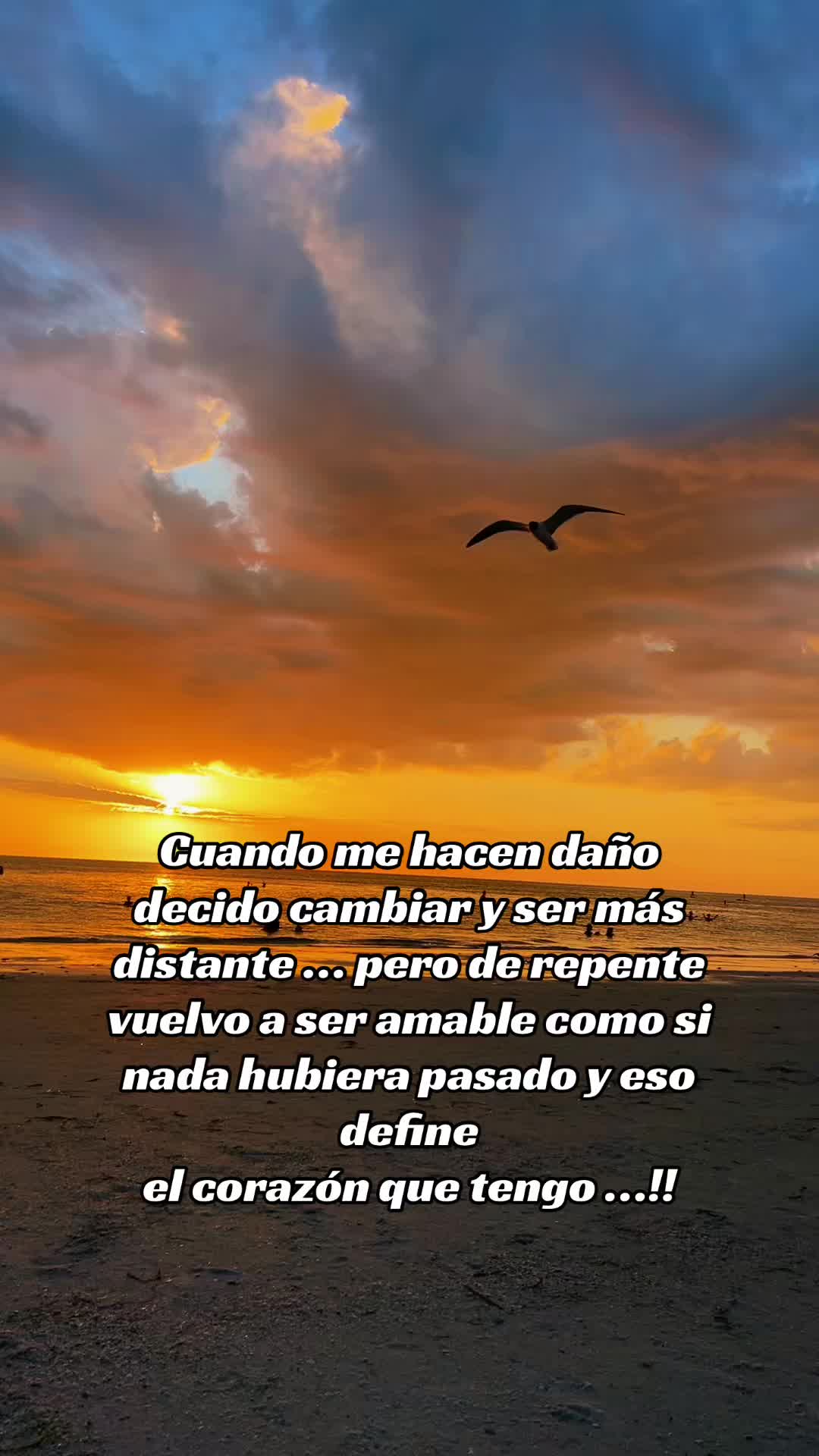 @🦋Bbcita🌻🇺🇸🌙