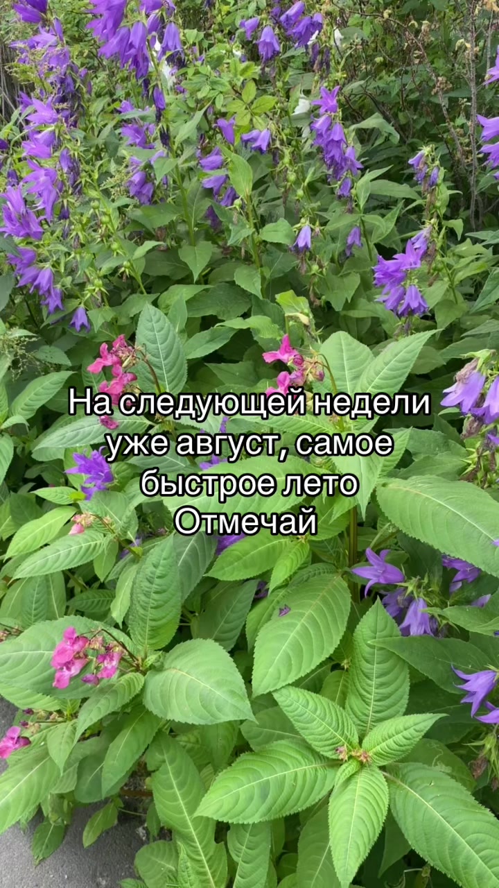 @Данил