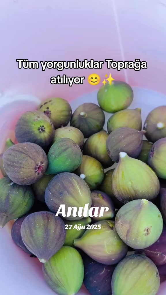 @g&uuml;l_ygt34