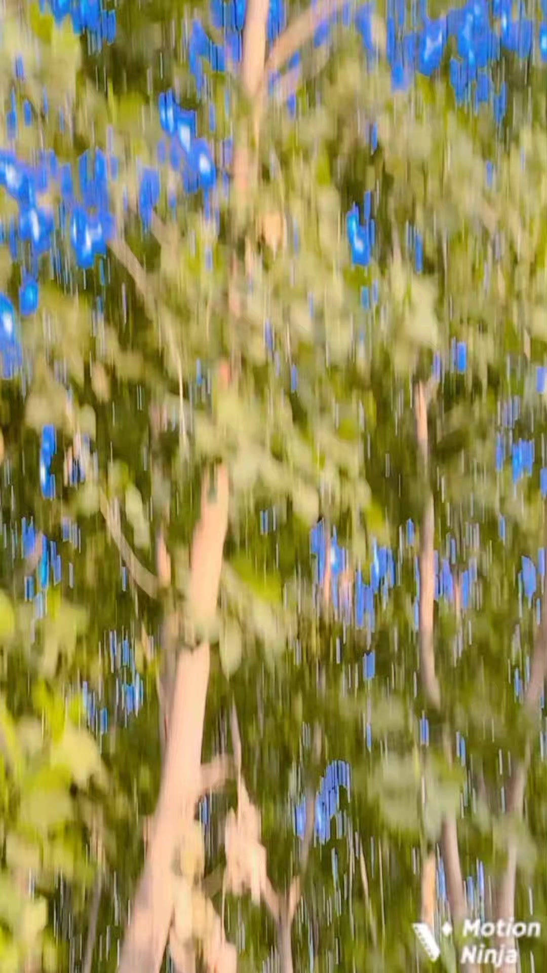 @༆ 𝑫✰𝑨✰𝑵✰𝑮✰𝑬✰𝑹 ☘︎