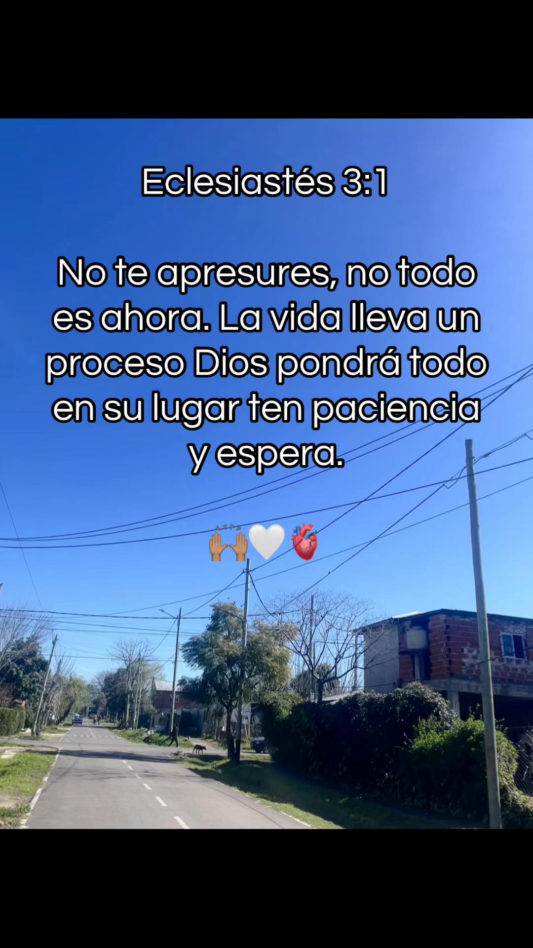 @sasha.barrozo0