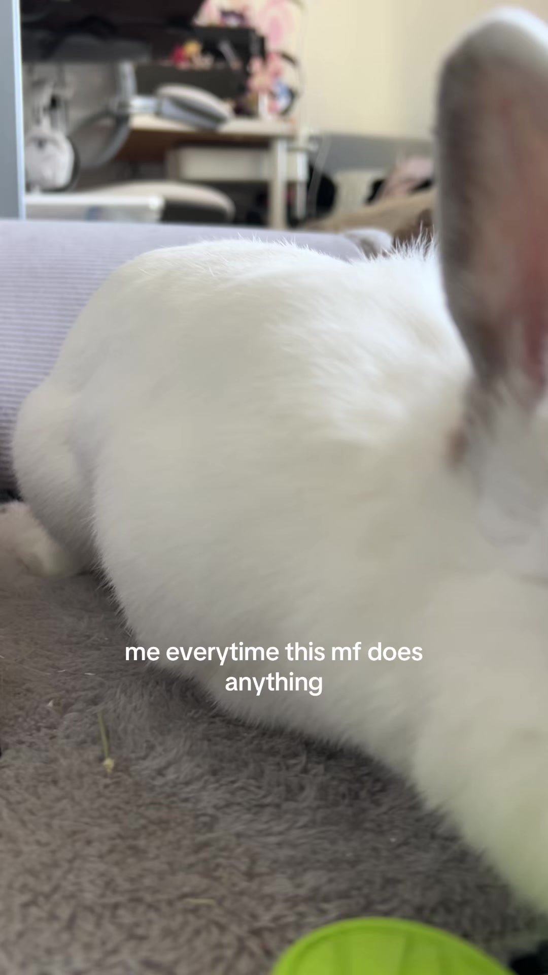 @bao