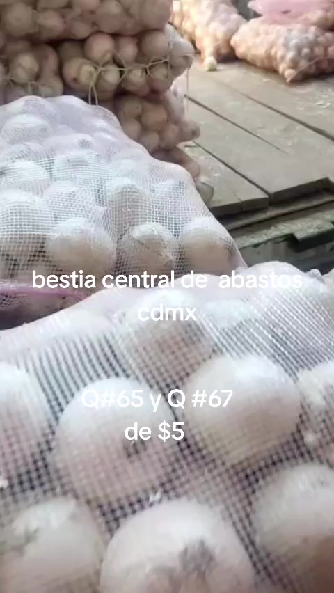 @Bestia central CDMX