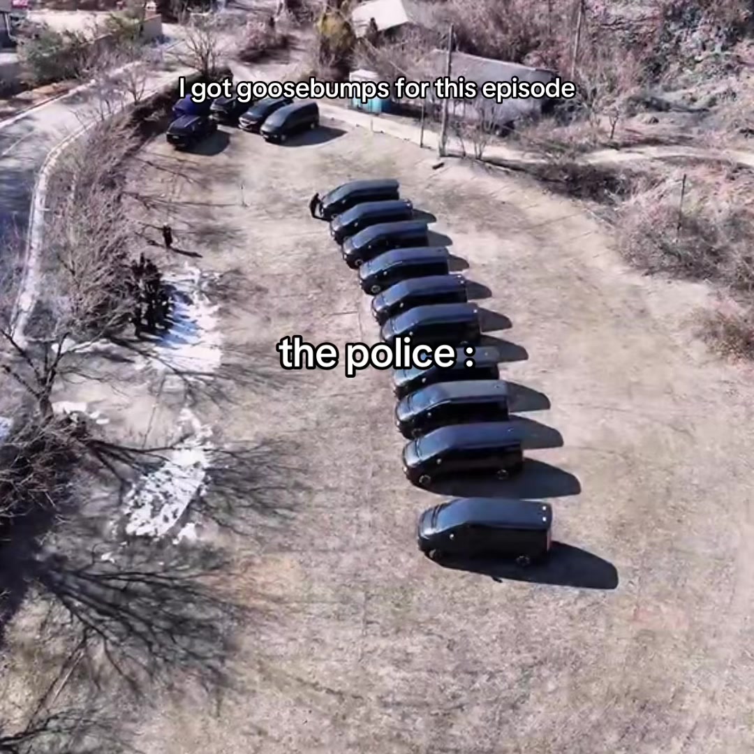 @qdz