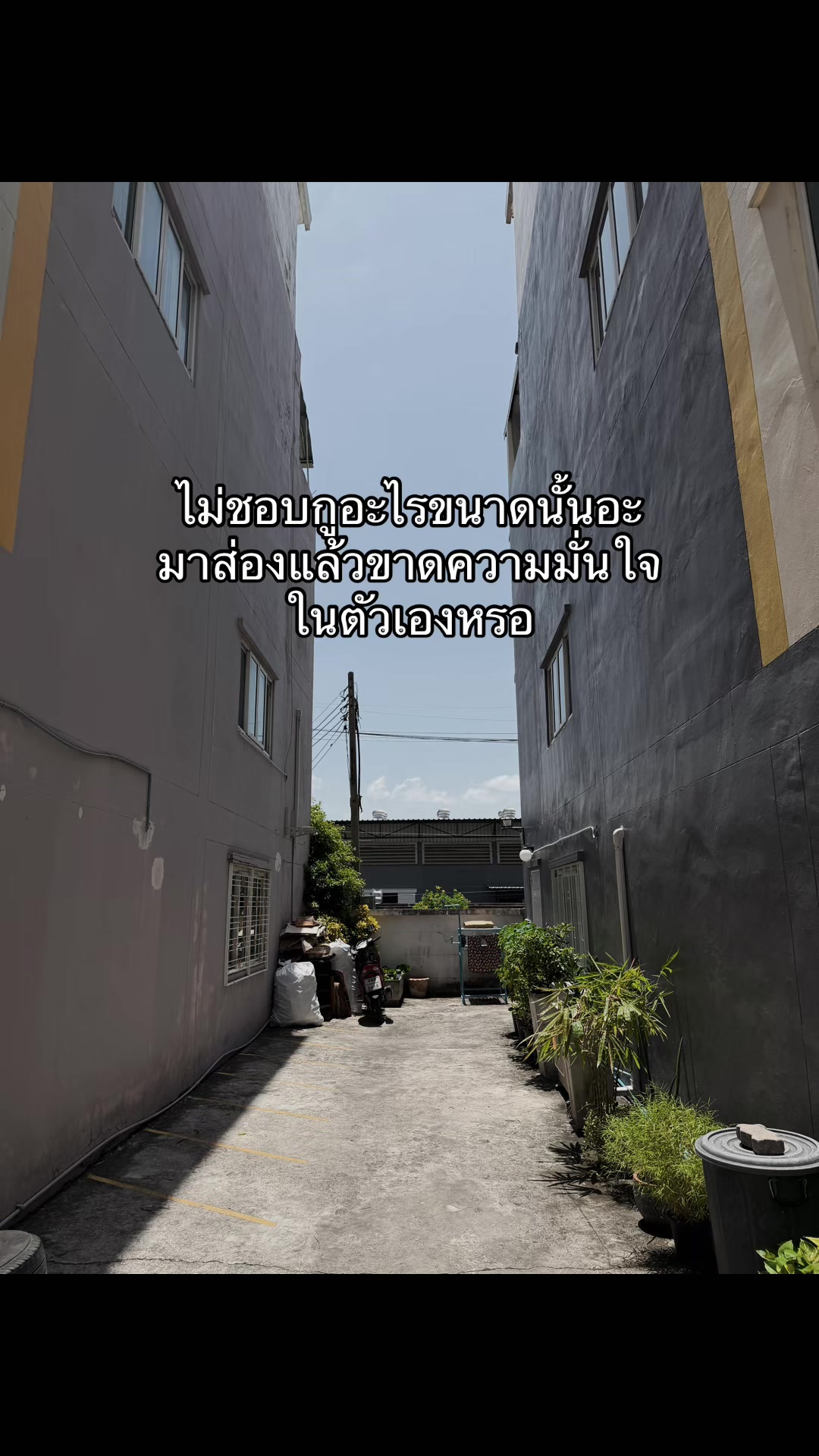 @ชีว๊าสส&lsquo;ส ชวาร็อฟกี้