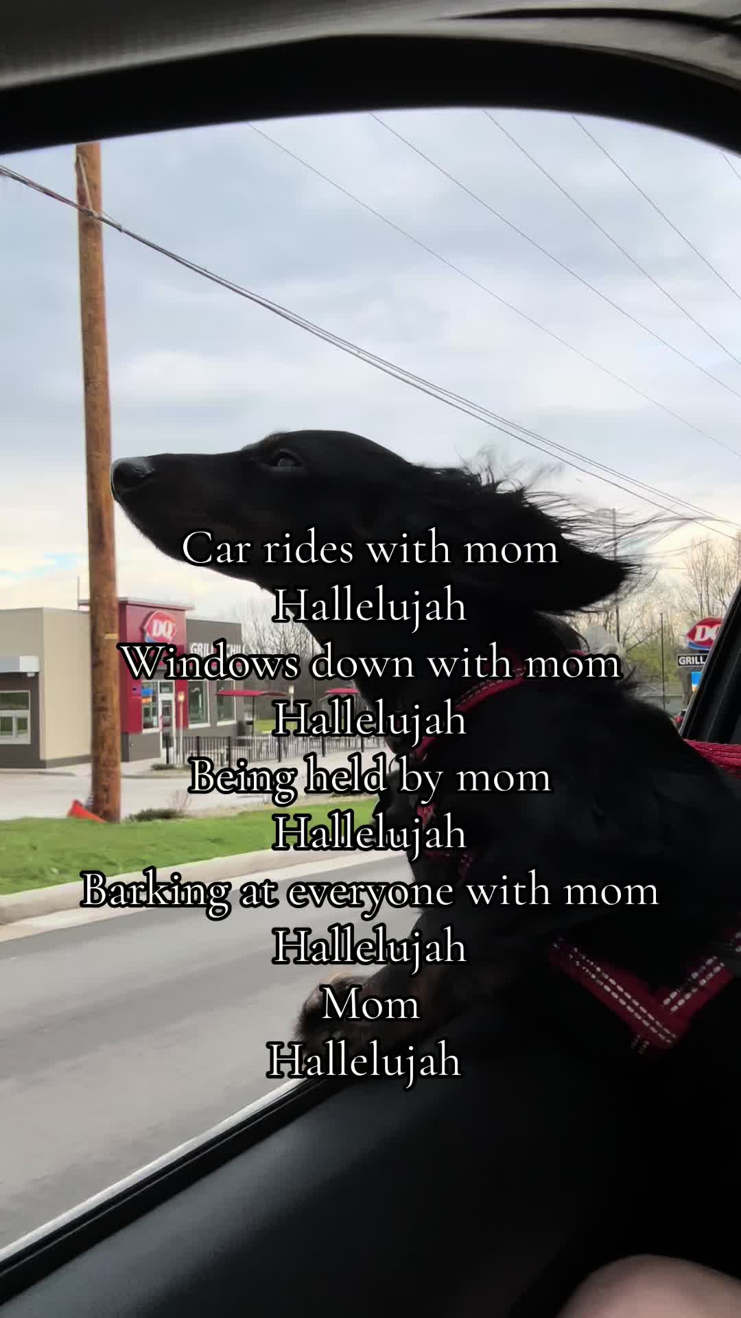 @Jessica Broska