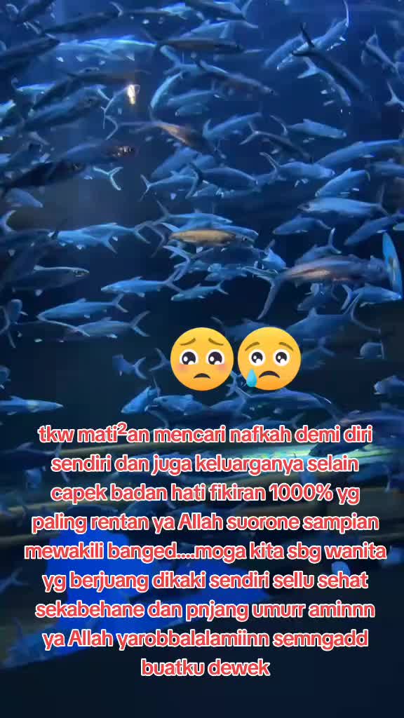 @ALIIN1717