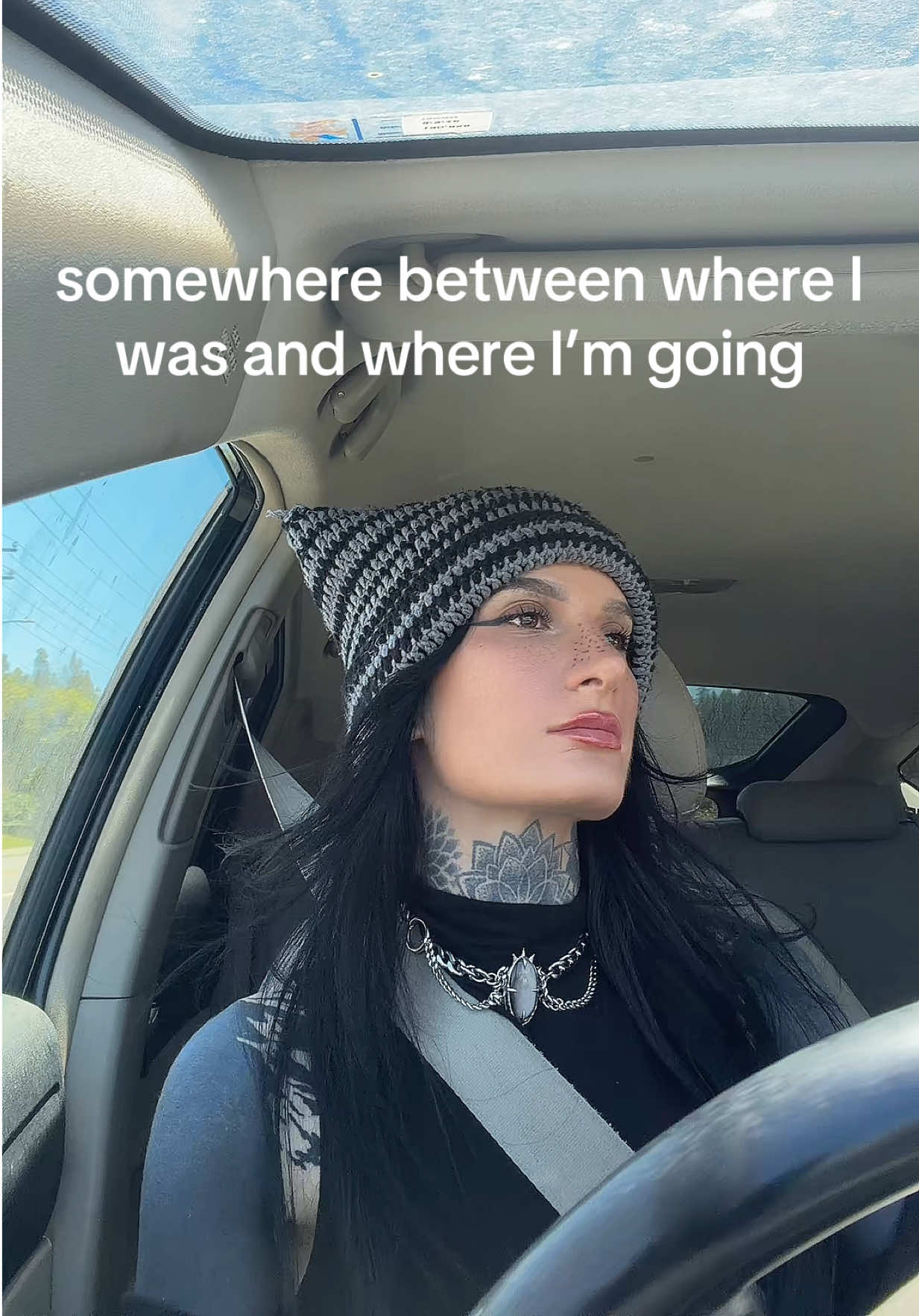 @prismveins