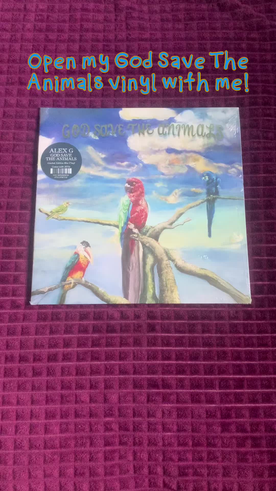 @TØP |-/ and FTP🌈💎 enthusiast