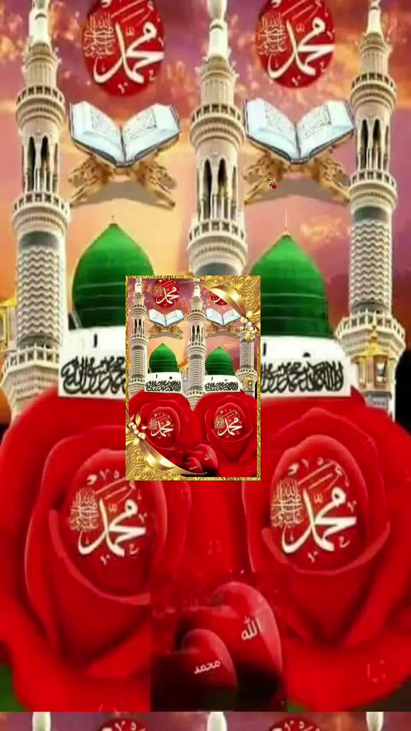 @Hina Malik