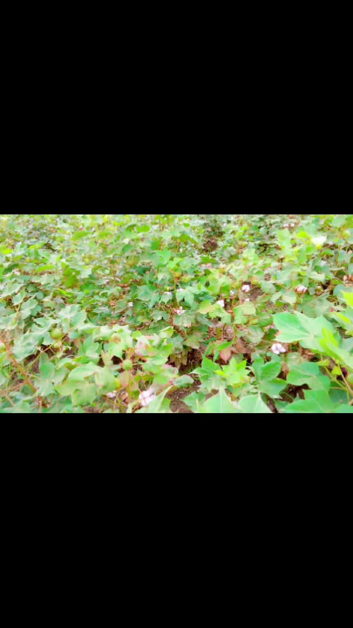 @❉্᭄͜͡⤹⃝ 👑Ravi_Rathore👑❉্᭄͜͡