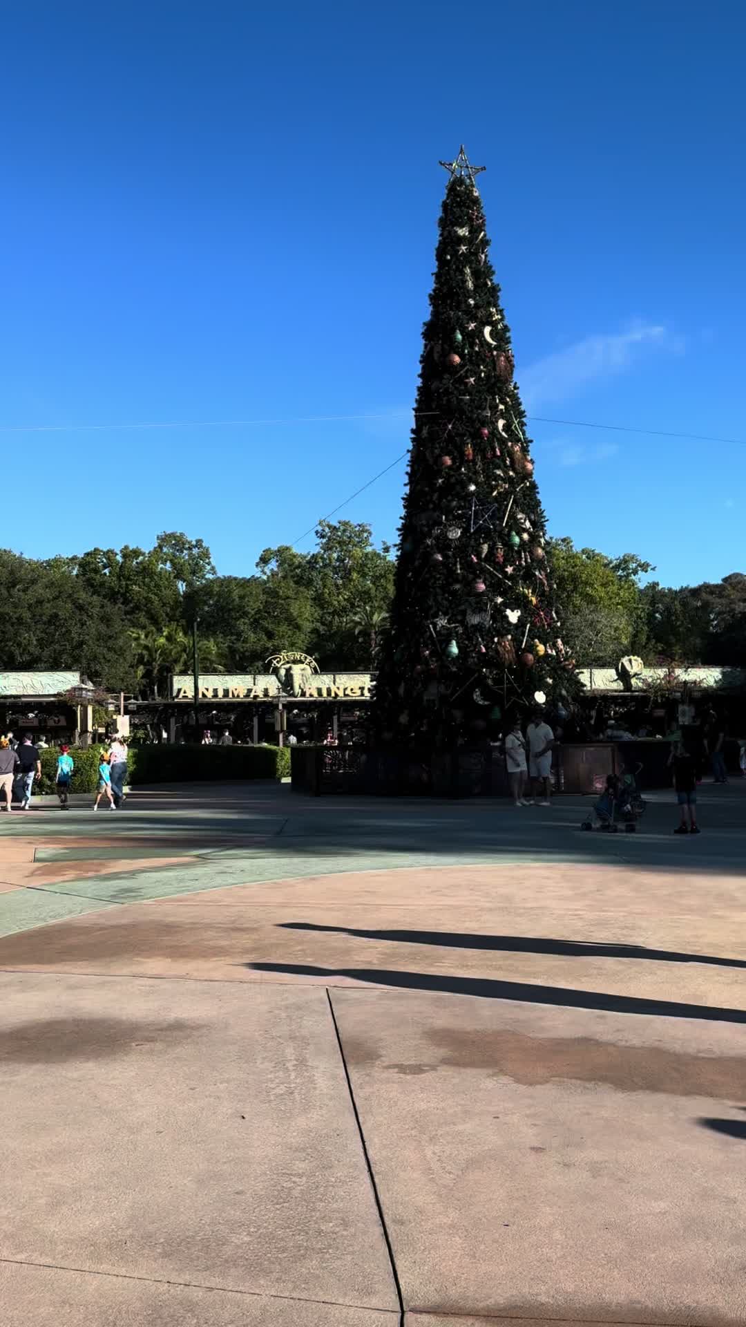 @Disney4Life