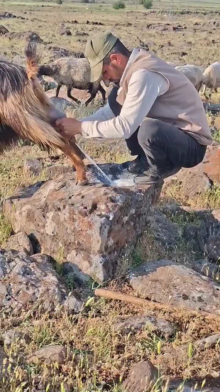@ali çınar