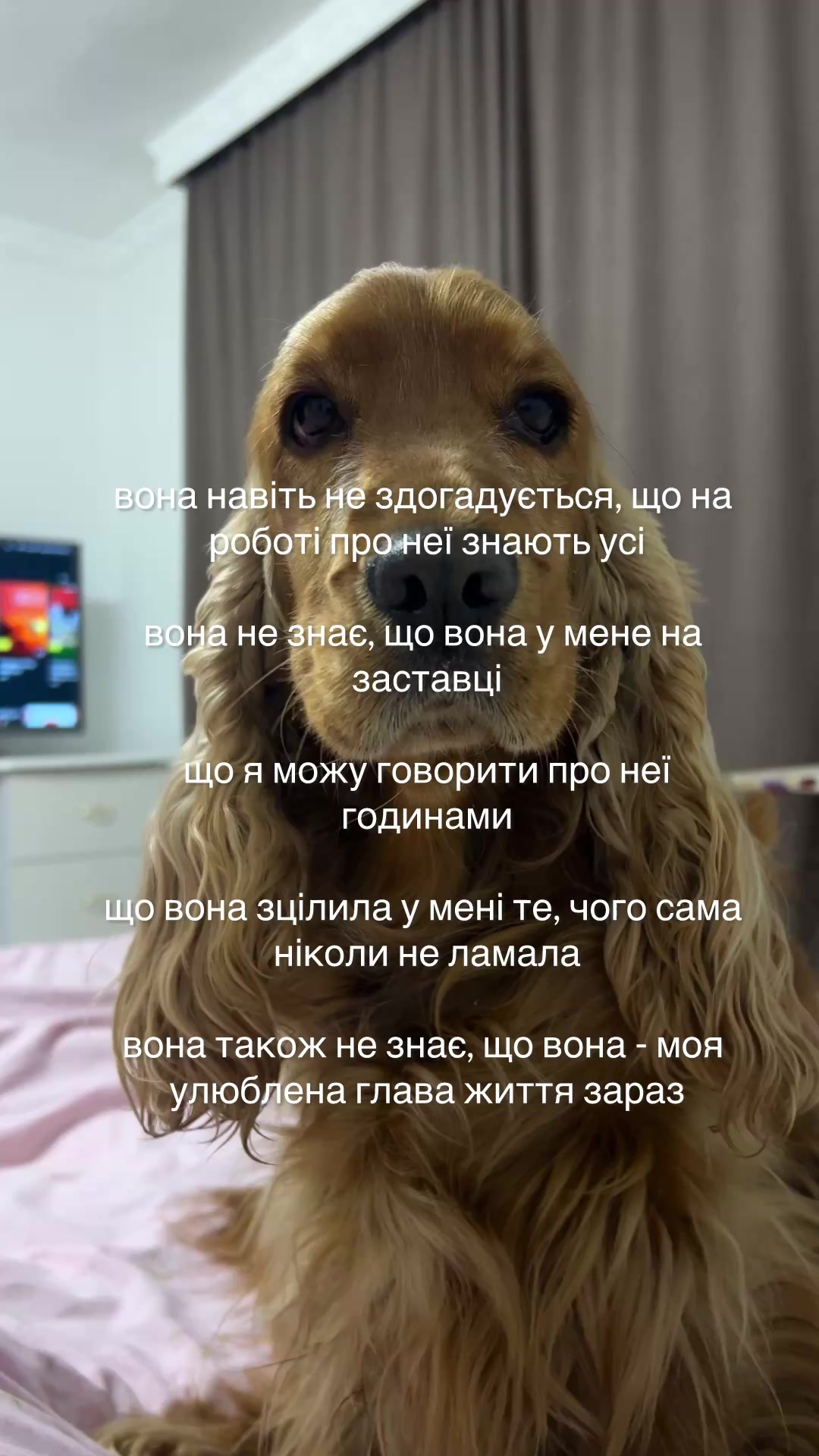 @Alexandra Bordash