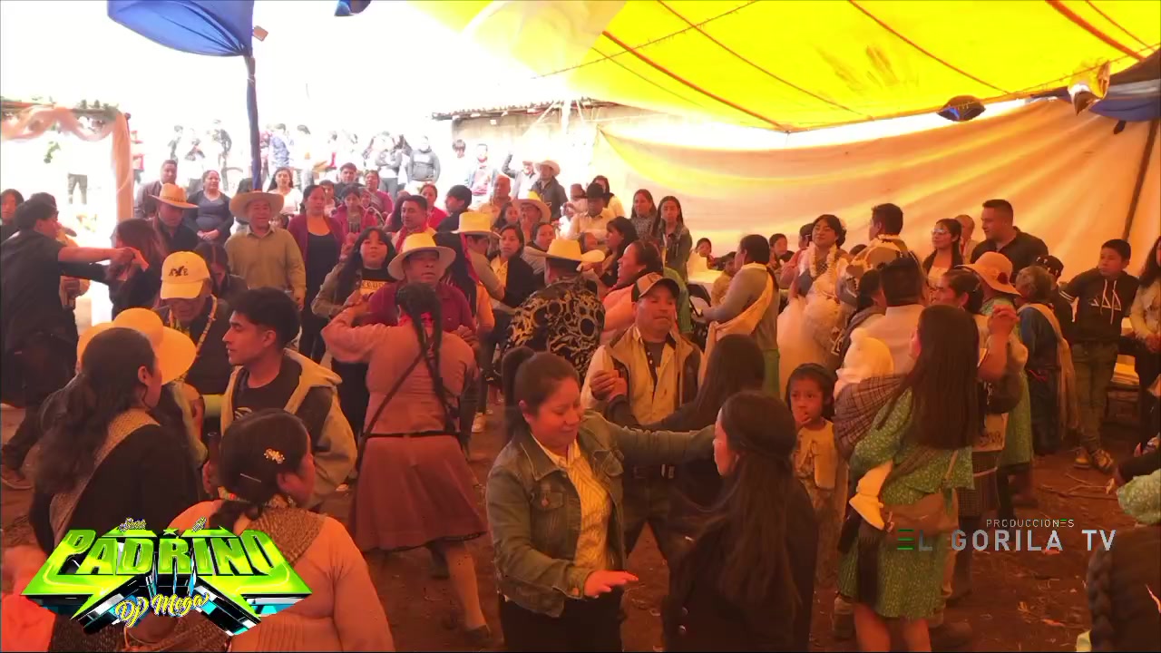 @produccioneselgorila