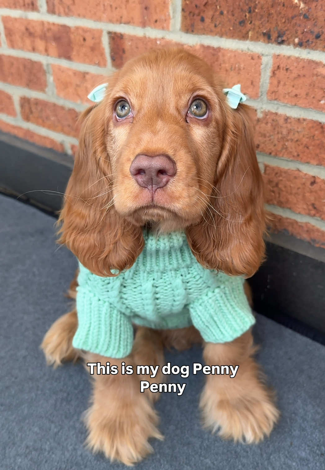 @Princess Penny 👑