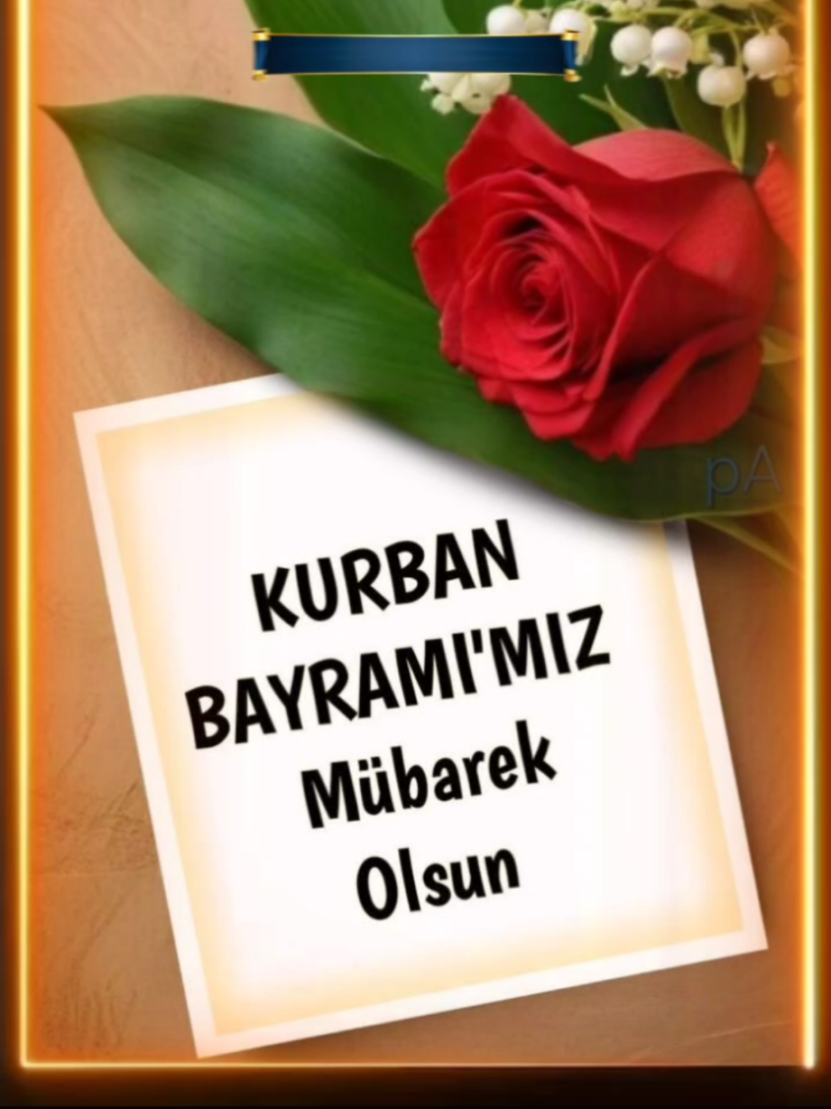 @Maviş Can