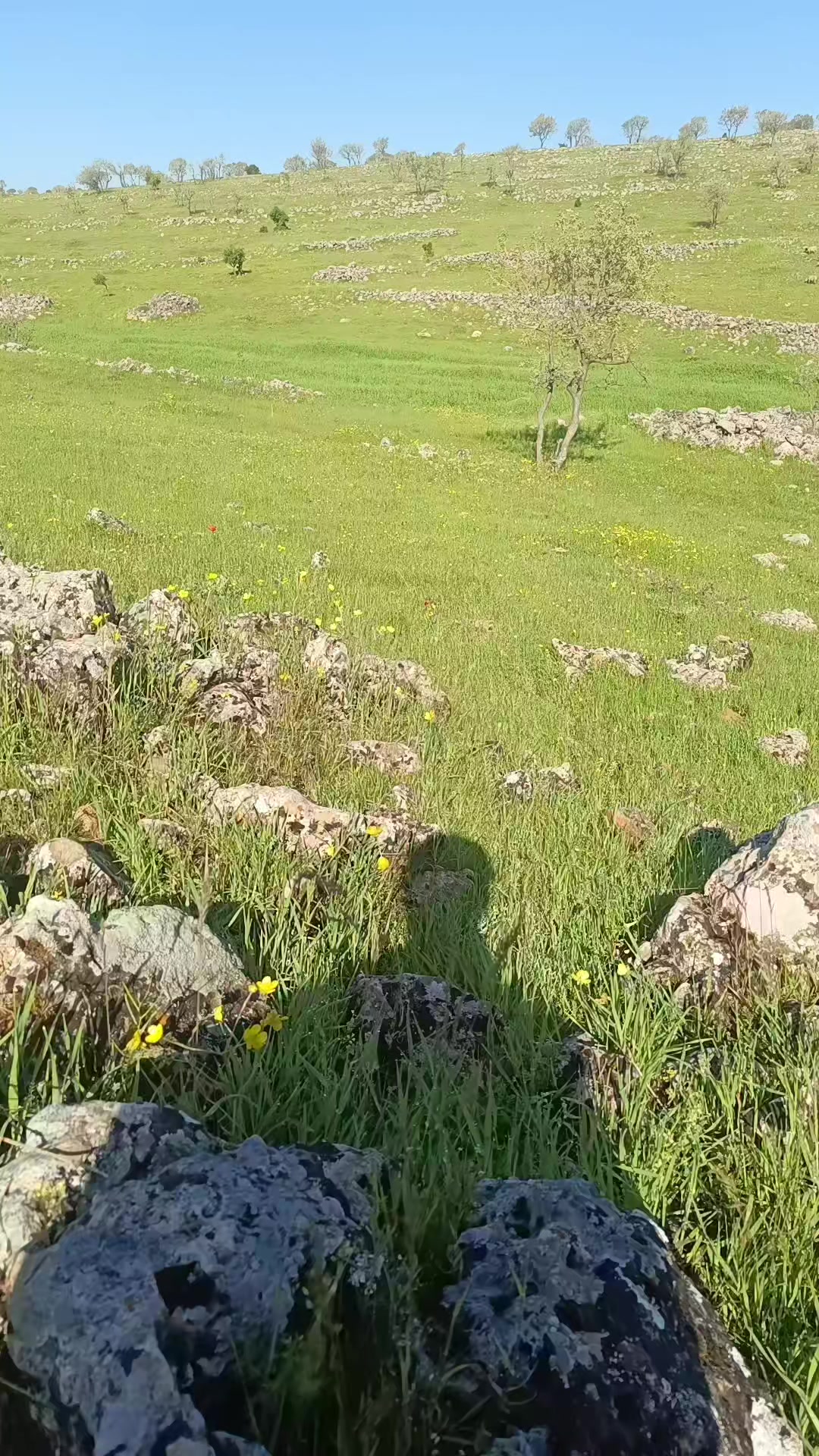@Abdurrahim g&uuml;l
