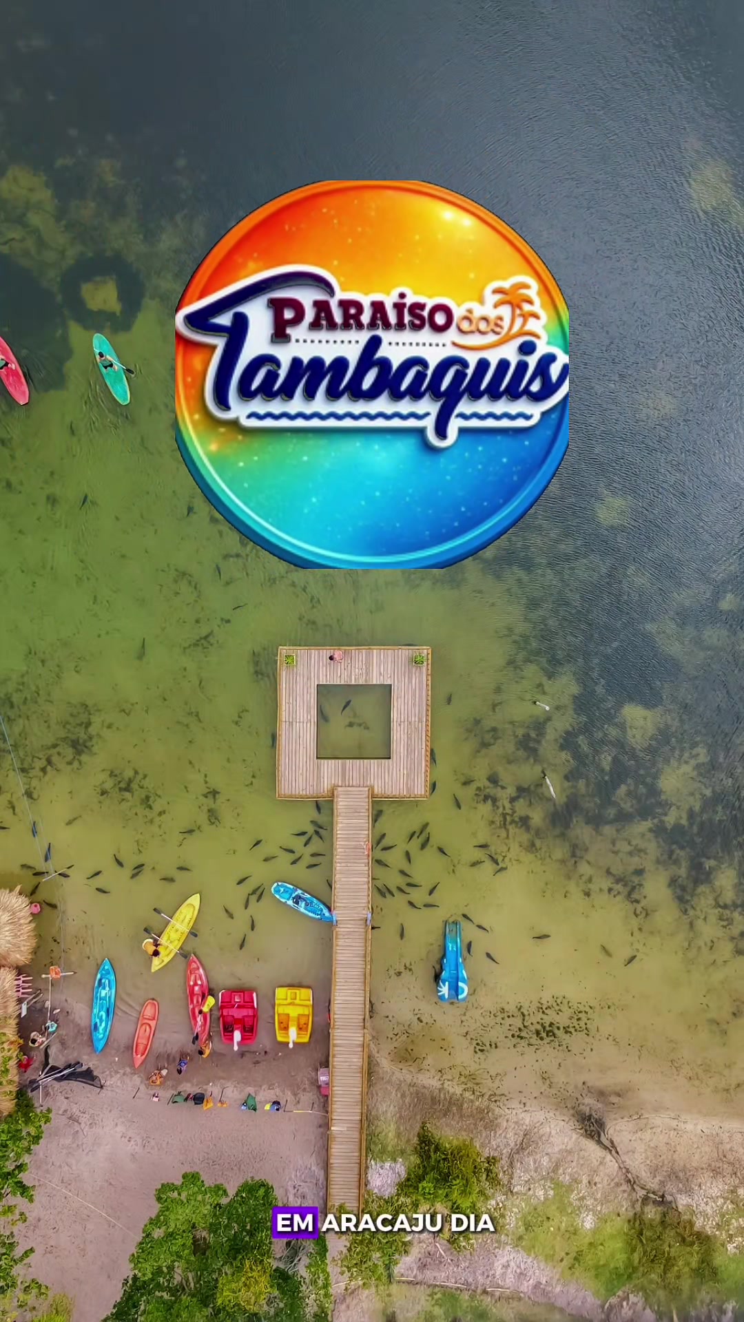 @TRAVEL PINGUIM