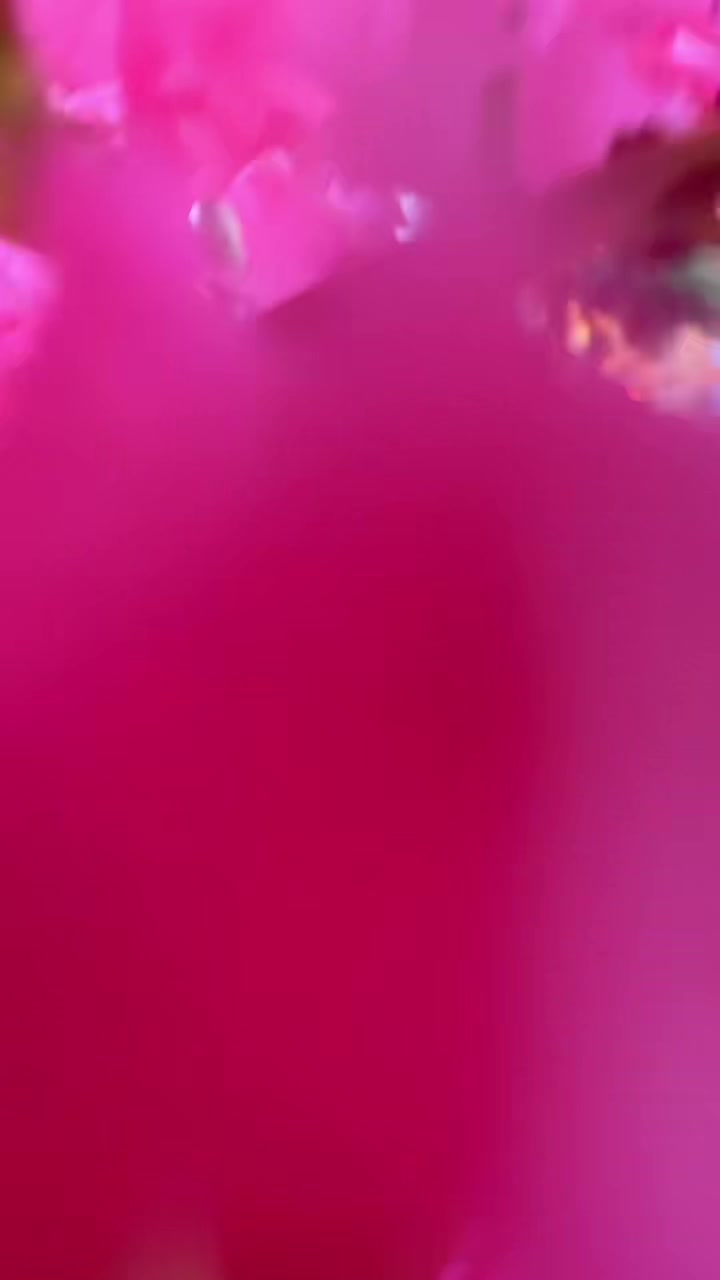 @🦋
