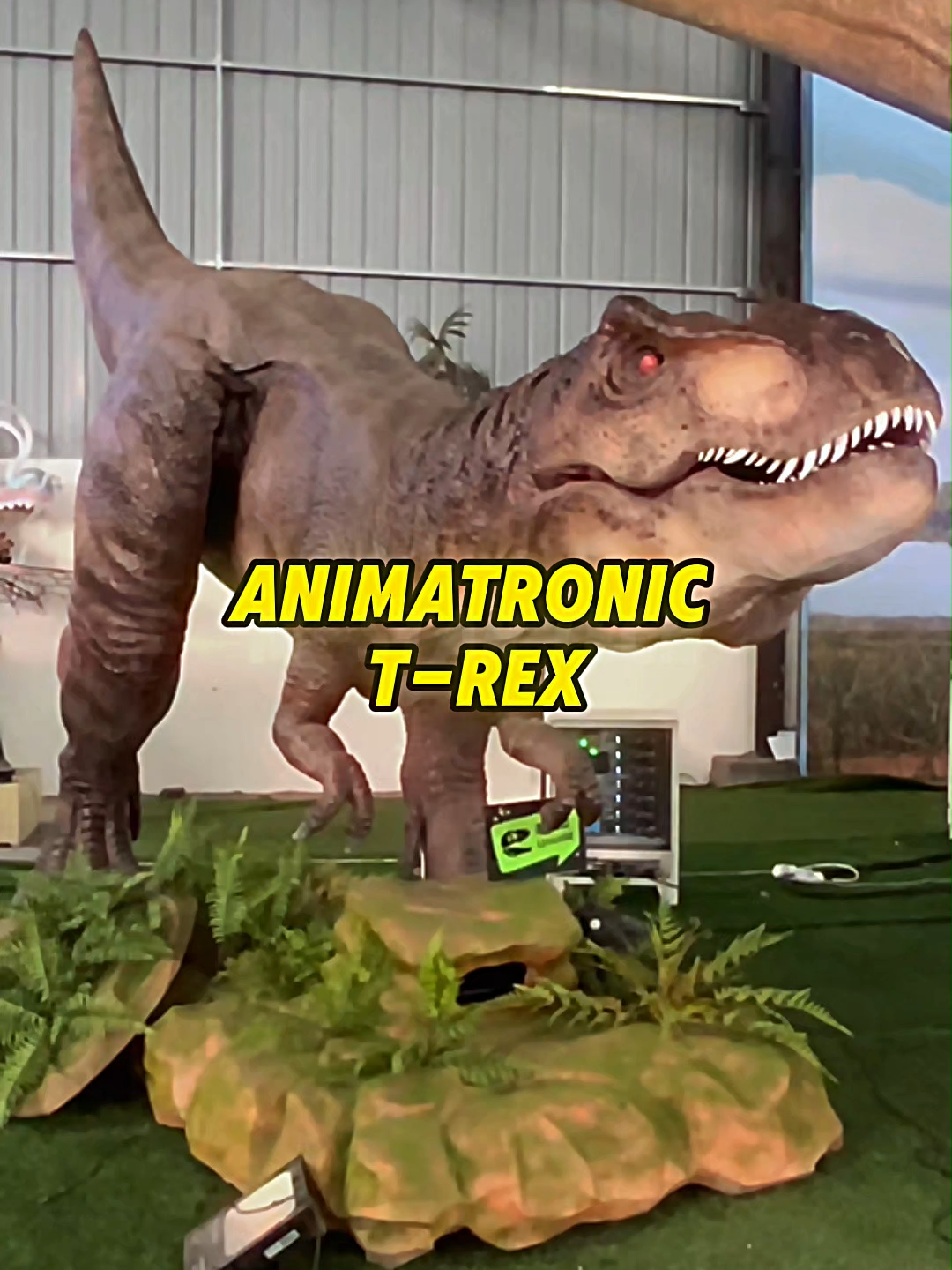 @ZGDinosaur