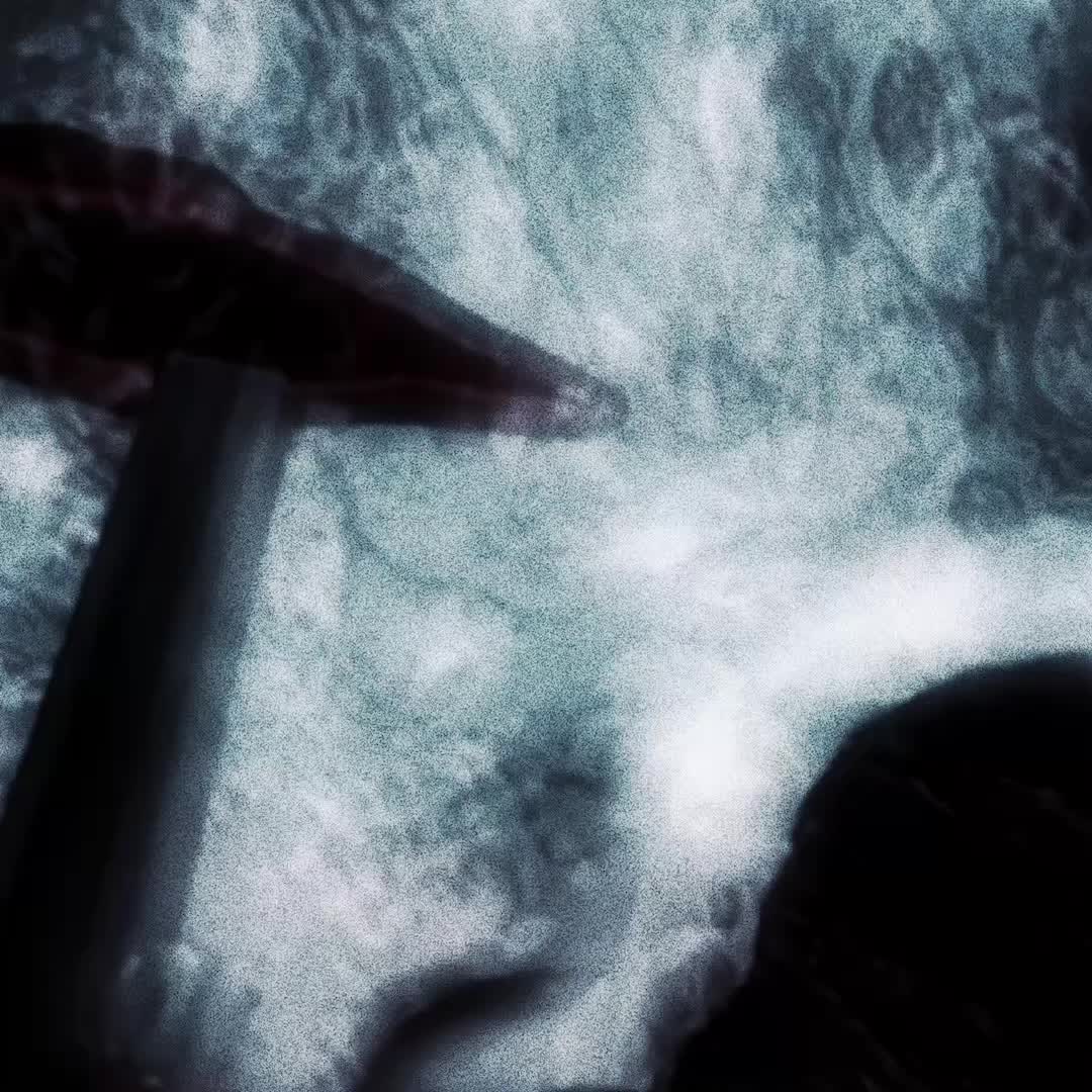 @🐉 ㊝ 𝓣𝓱𝓮 𝓭𝓻𝓲𝓷𝓴㊝🍷