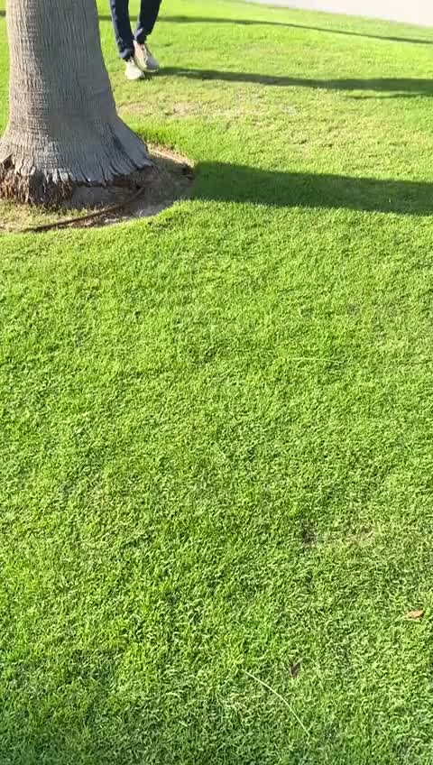 @shahul നിലമ്പുർ