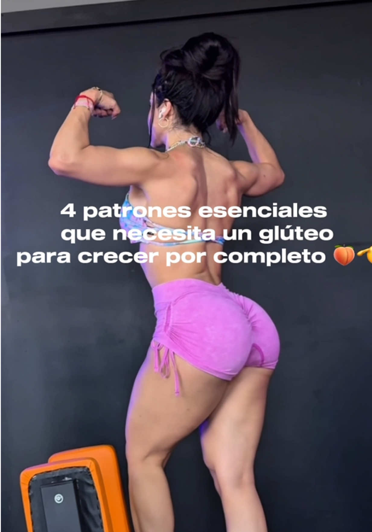 @Aleestefaniafitness