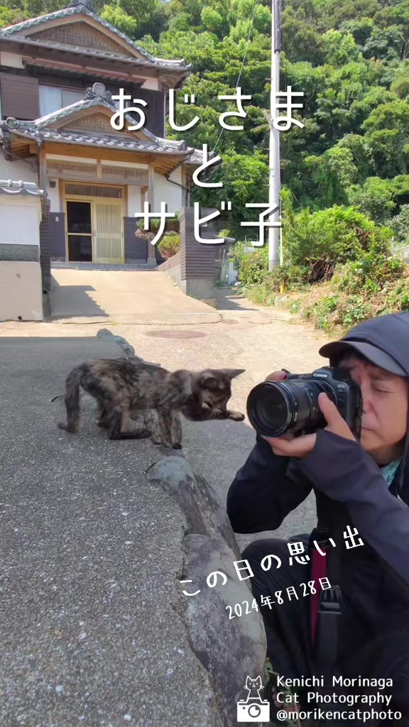 @猫写真家 森永健一
