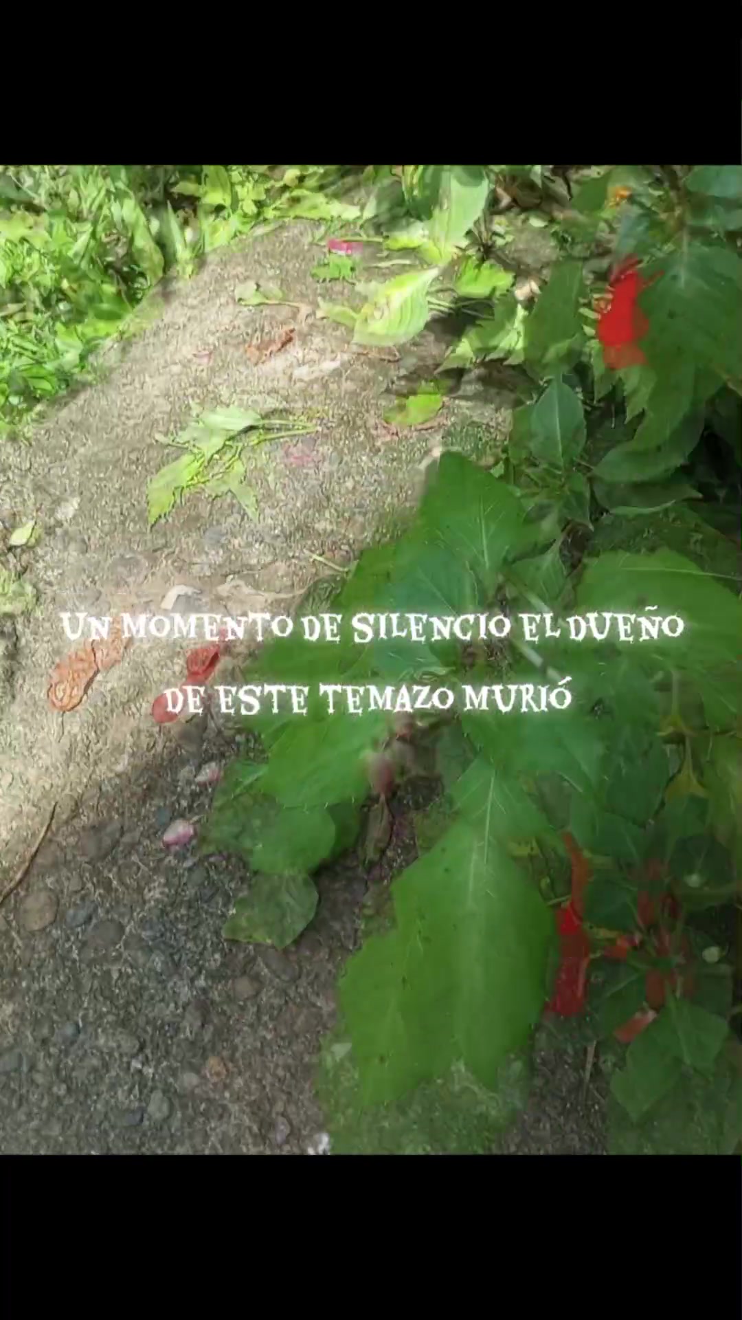 @🤍Sofia🤍