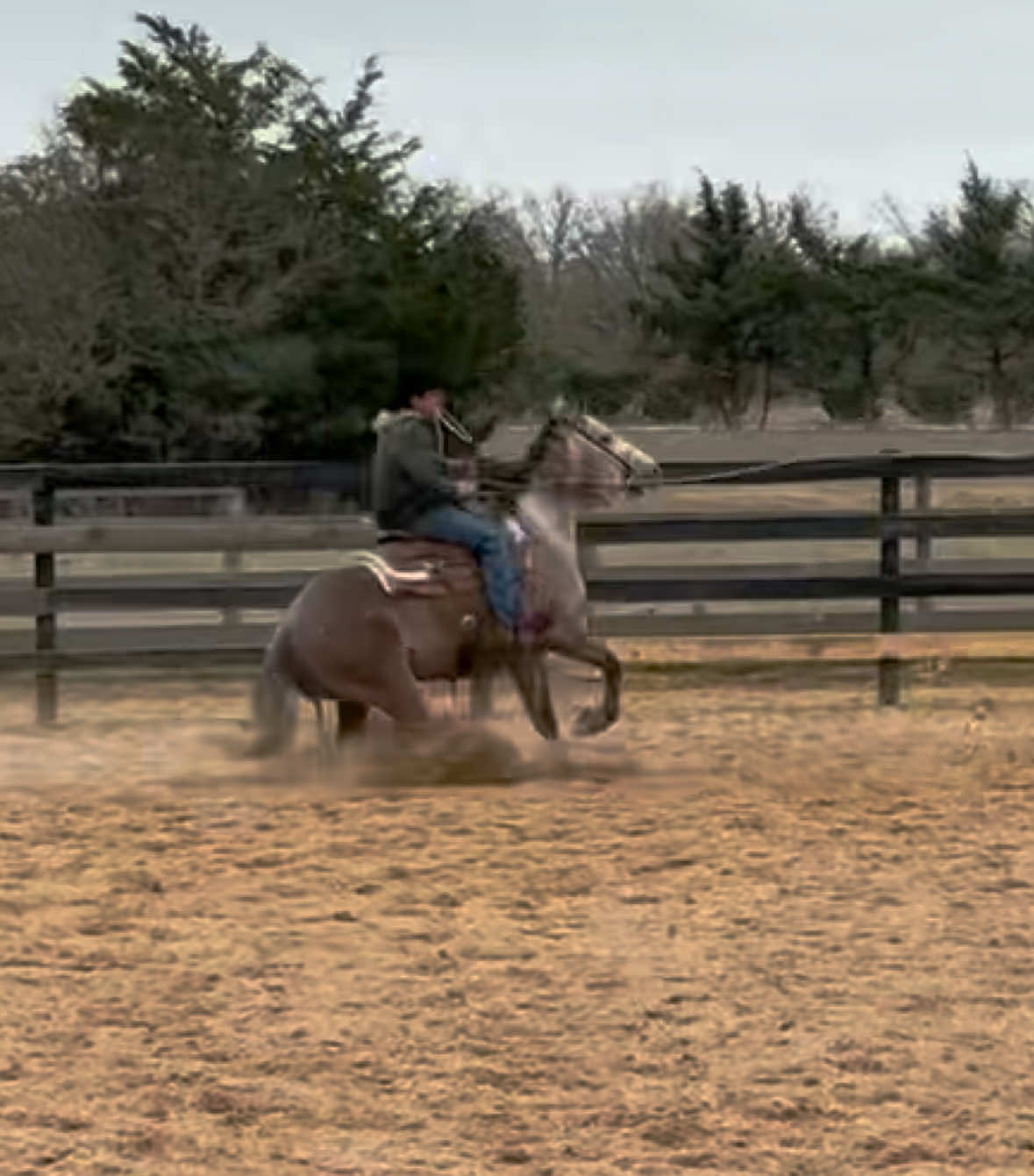 @HD Performance Horses