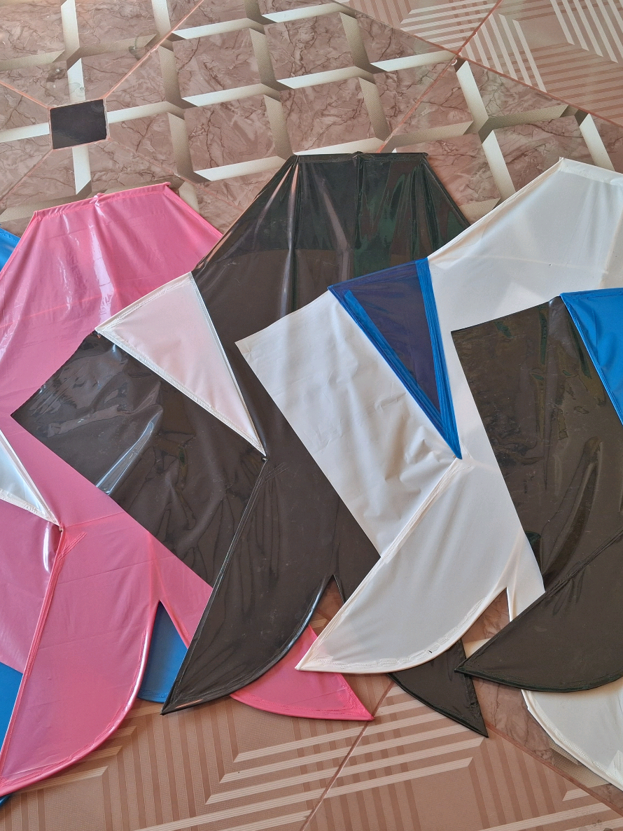 @daffin kite store