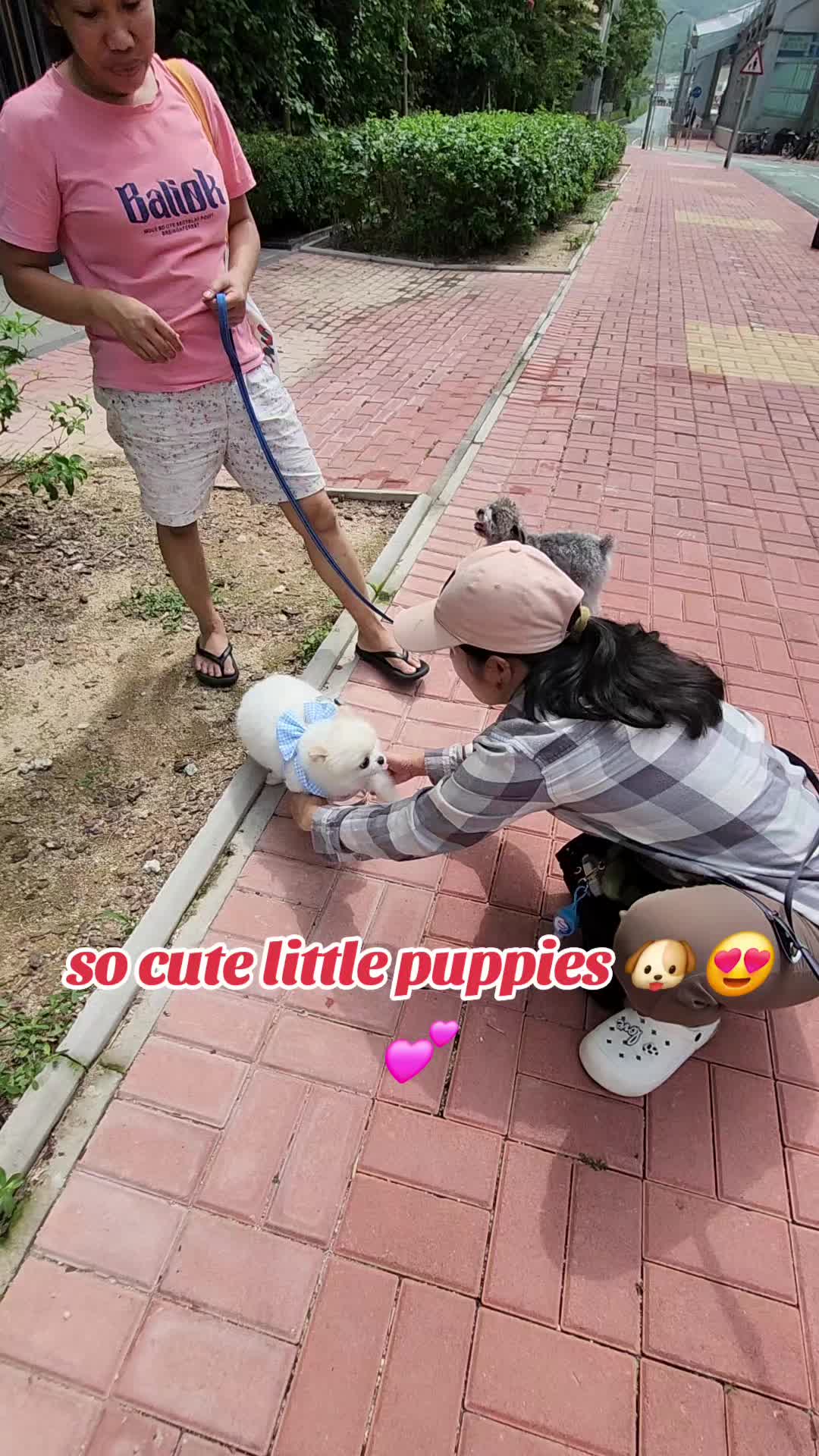 @🍎🍑Singkit🇭🇰🇵🇭