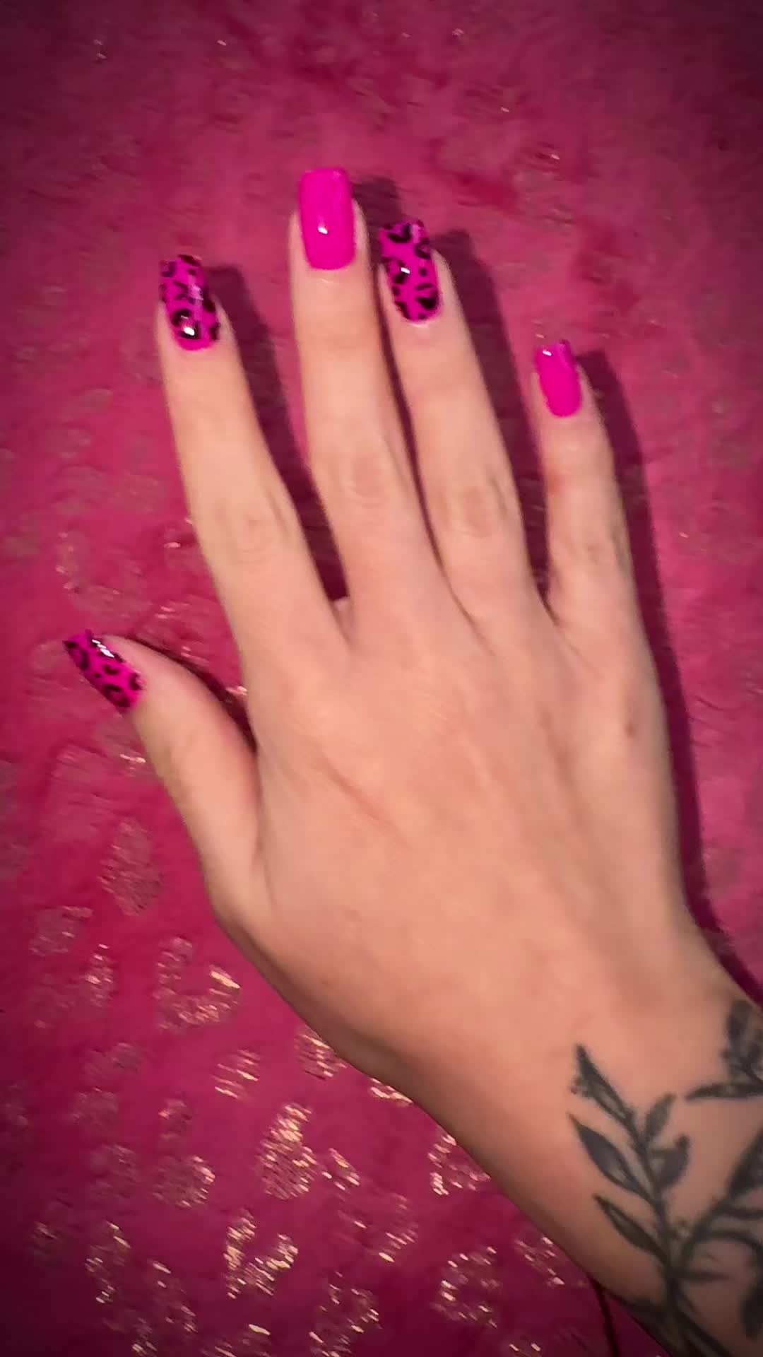 @🦇❤︎꧁𝔅𝔬𝔫꧂❤︎🦇
