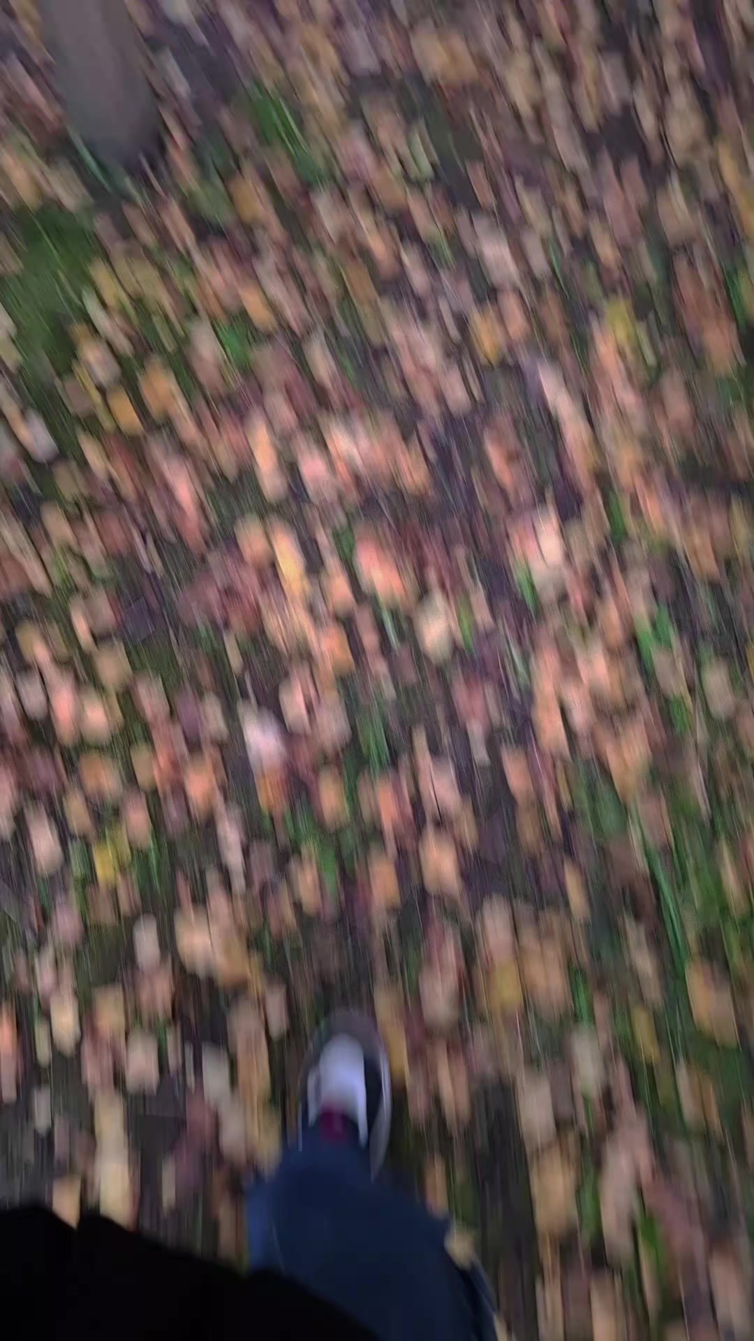 @𝓝𝓸𝓿𝔂𝔂 𝓹𝓮𝓻𝓼𝓸𝓷𝓪𝔃𝓱