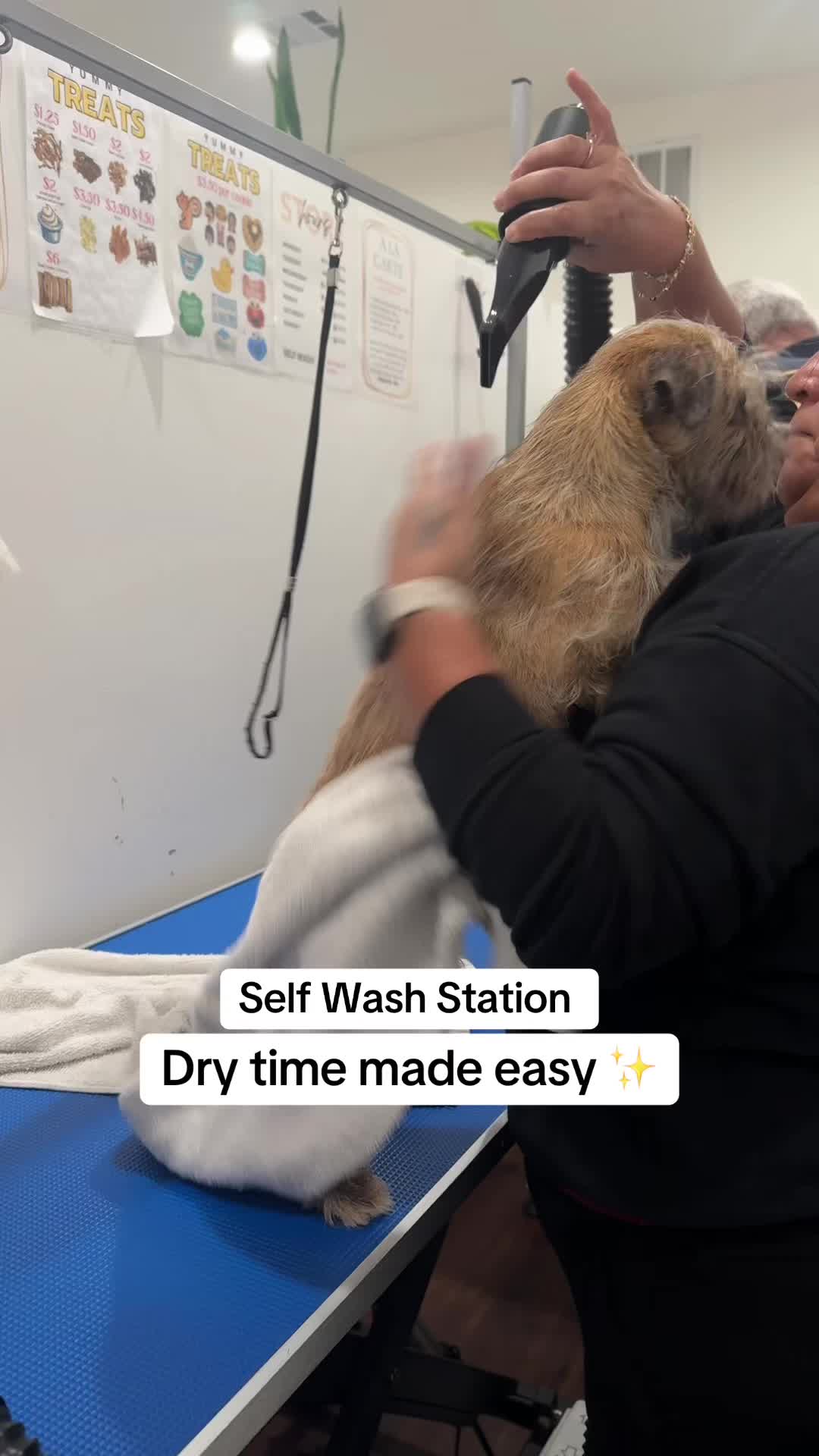 @dogwashla