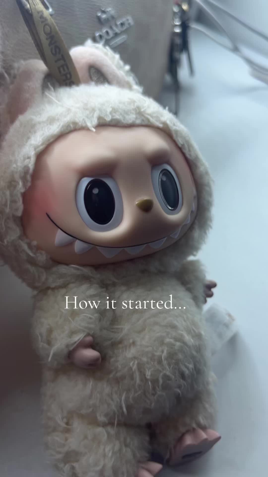 @๐ฆ๐ถ๐๐๐ ๐ค