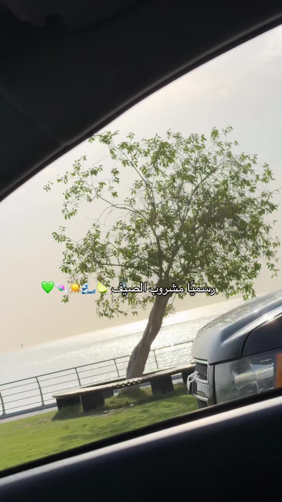 @عبير الخُبر🌻