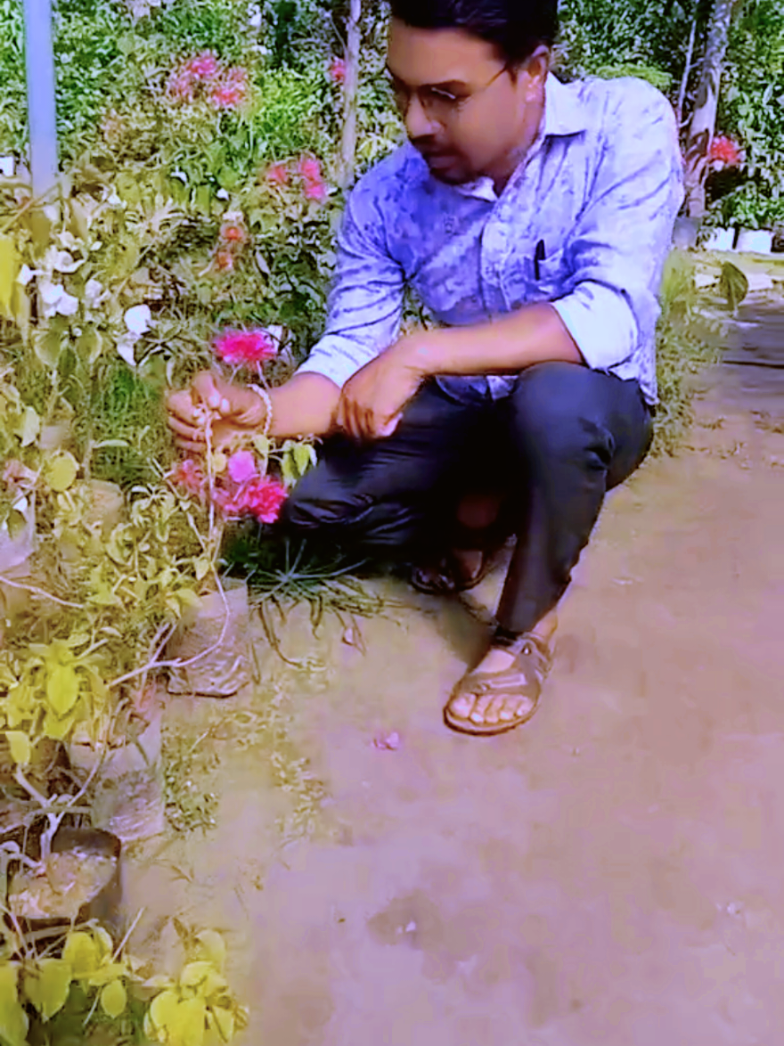 @singharajesh0