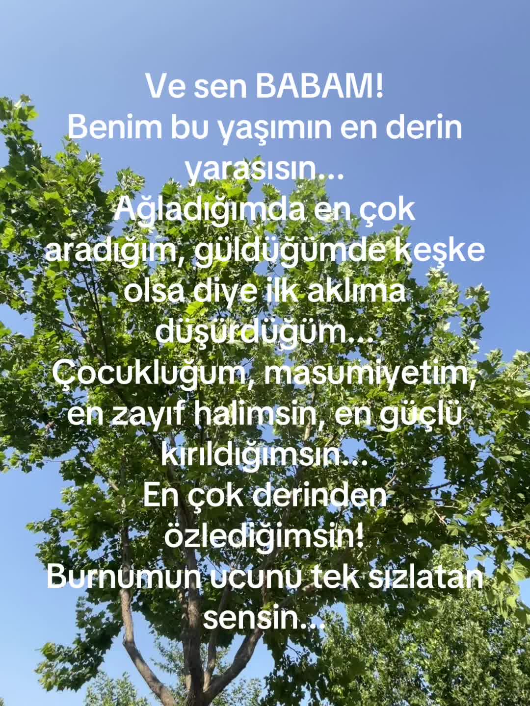 @Selin Aslan
