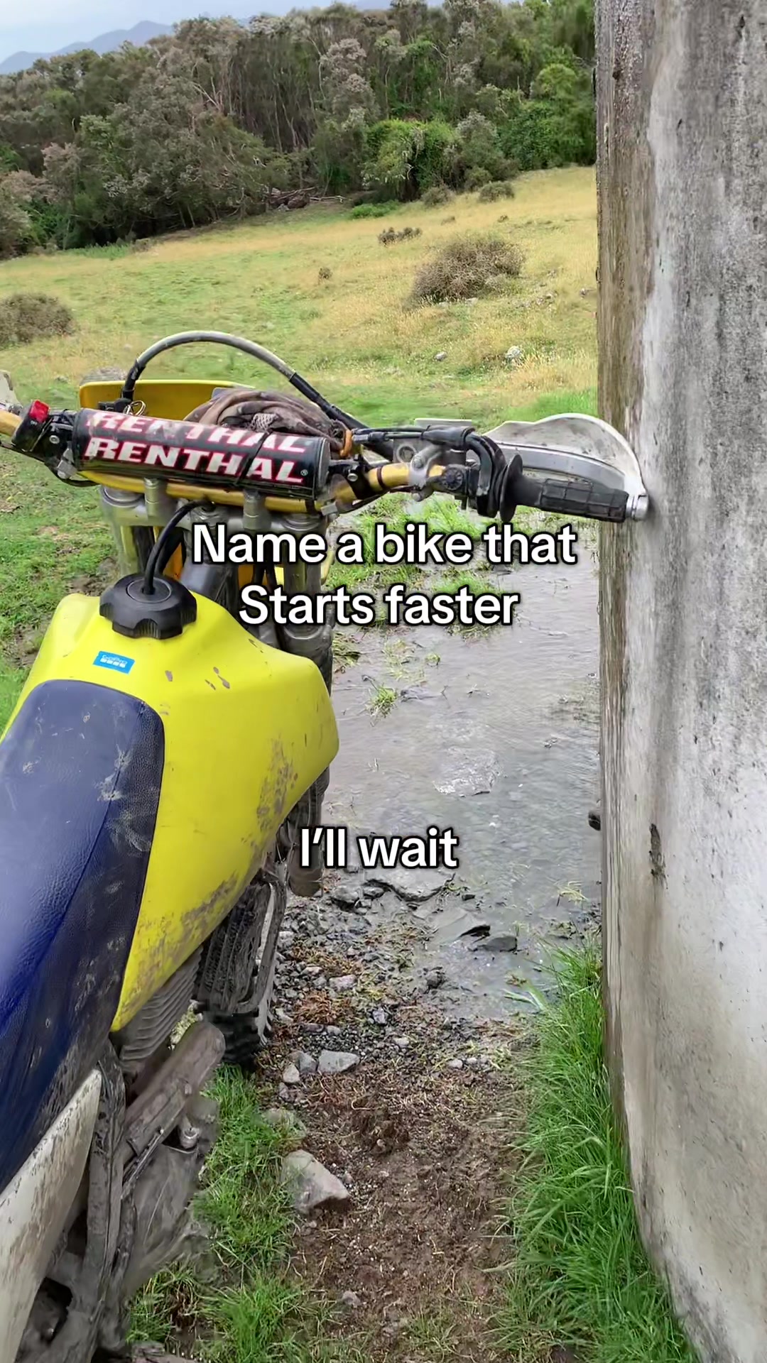 @DRZ Toby🫠
