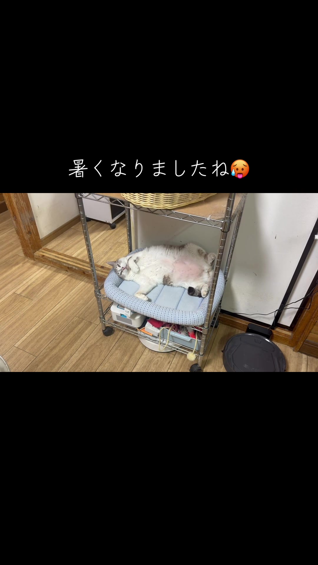 @てるぼー