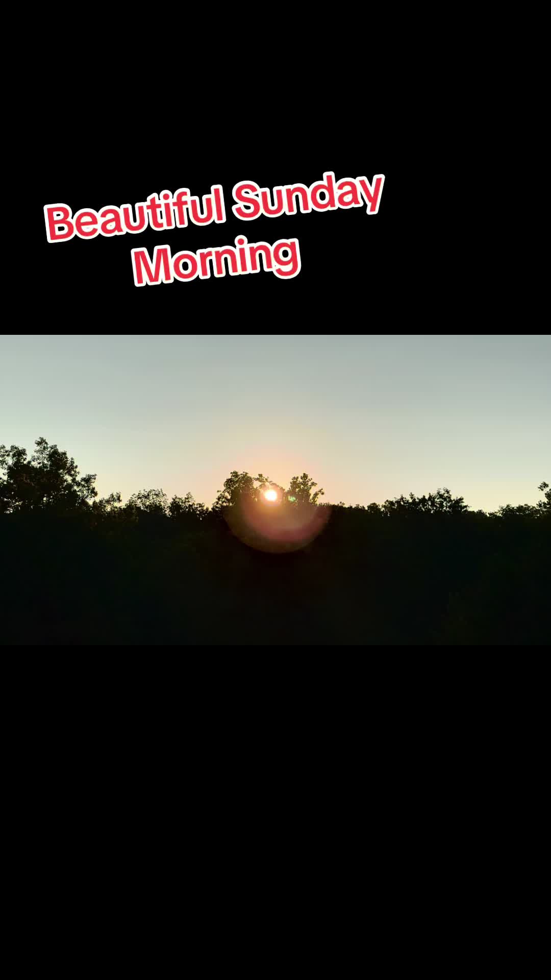 @MBossman1