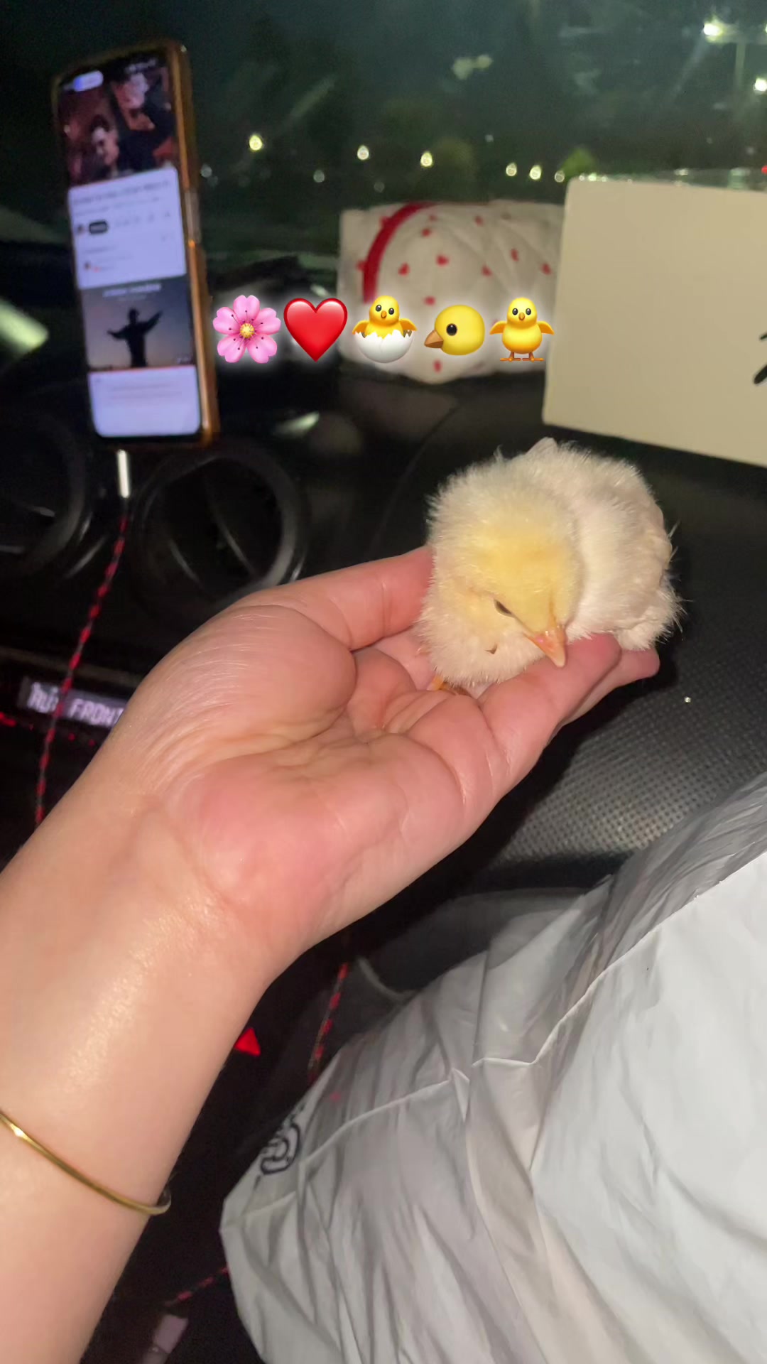 @✨mia🦋