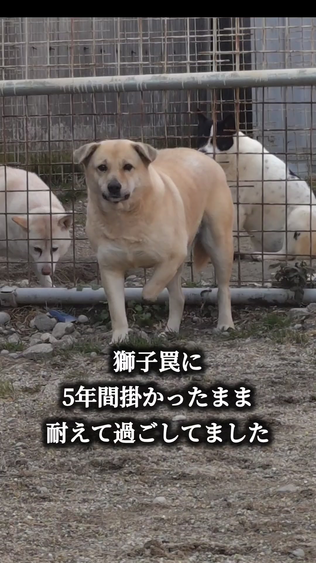 @まあくんハウス